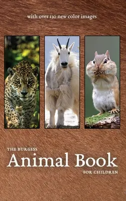 El libro de los animales de Burgess con nuevas imágenes en color - The Burgess Animal Book with new color images