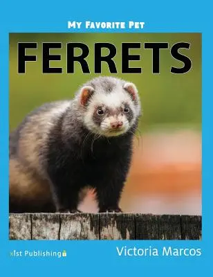 Mi mascota favorita Hurones - My Favorite Pet: Ferrets