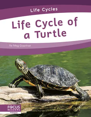 Ciclo de vida de una tortuga - Life Cycle of a Turtle