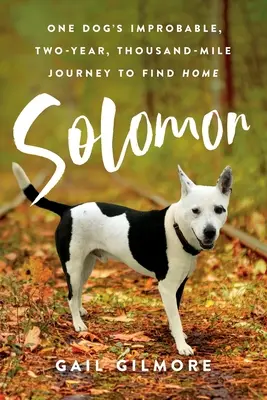 Salomón: El improbable viaje de dos años y mil millas de un perro en busca de su hogar - Solomon: One Dog's Improbable, Two-year, Thousand-mile Journey to Find Home