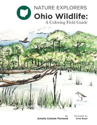 Ohio Wildlife: A Coloring Field Guide