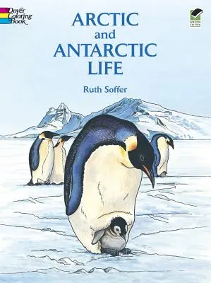 Libro para colorear La vida en el Ártico y la Antártida - Arctic and Antarctic Life Coloring Book