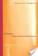 En exceso: Estudios de fenómenos saturados - In Excess: Studies of Saturated Phenomena