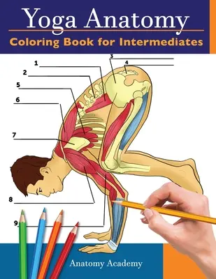 Yoga Anatomy Coloring Book for Intermediates: 50+ Poses de Yoga Intermedias para Colorear con Autocomprobación Increíblemente Detalladas Regalo Perfecto para Instructor de Yoga. - Yoga Anatomy Coloring Book for Intermediates: 50+ Incredibly Detailed Self-Test Intermediate Yoga Poses Color workbook Perfect Gift for Yoga Instructo