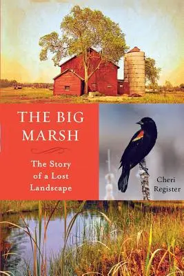 El gran pantano: La historia de un paisaje perdido - The Big Marsh: The Story of a Lost Landscape