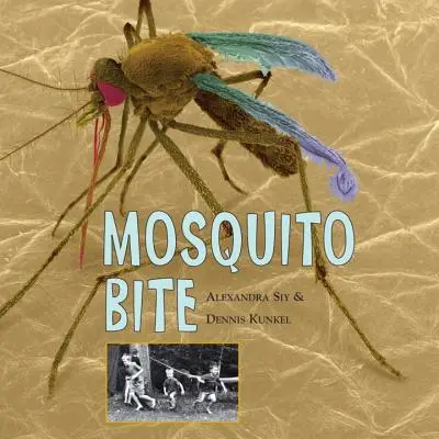 La picadura del mosquito - Mosquito Bite