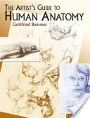 Guía del artista sobre anatomía humana - The Artist's Guide to Human Anatomy