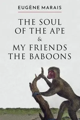 El alma del mono y mis amigos los babuinos - The Soul of the Ape & My Friends the Baboons