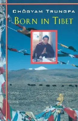 Nacido en el Tíbet - Born In Tibet