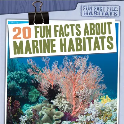 20 curiosidades sobre los hábitats marinos - 20 Fun Facts about Marine Habitats