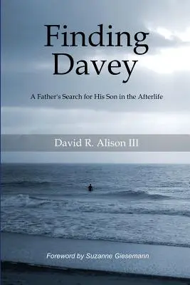 En busca de Davey: La búsqueda de un padre por su hijo en el más allá - Finding Davey: A father's search for his son in the afterlife