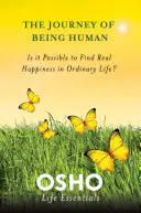 El viaje del ser humano: ¿Es posible encontrar la verdadera felicidad en la vida ordinaria? - The Journey of Being Human: Is It Possible to Find Real Happiness in Ordinary Life?