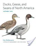 Patos, gansos y cisnes de Norteamérica, 2 - Ducks, Geese, and Swans of North America, 2