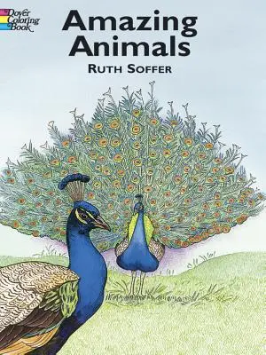 Libro para colorear Animales asombrosos - Amazing Animals Coloring Book