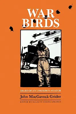 War Birds: Diario de un aviador desconocido - War Birds: Diary of an Unknown Aviator