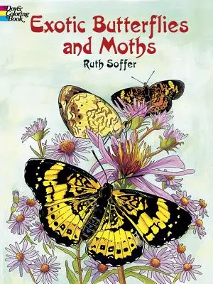 Libro para colorear de mariposas y polillas exóticas - Exotic Butterflies and Moths Coloring Book