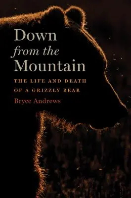 Bajar de la montaña - Vida y muerte de un oso pardo - Down from the Mountain - The Life and Death of a Grizzly Bear