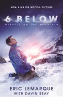 6 Below: Milagro en la montaña - 6 Below: Miracle on the Mountain