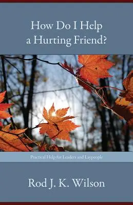 ¿Cómo ayudar a un amigo que sufre? - How Do I Help a Hurting Friend?