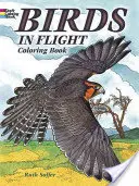 Libro para colorear Aves en vuelo - Birds in Flight Coloring Book