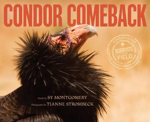 El regreso del cóndor - Condor Comeback