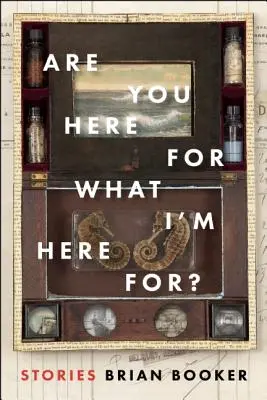 ¿Estás aquí para lo que yo estoy aquí? - Are You Here for What I'm Here For?