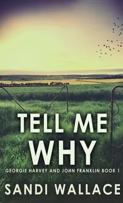 Dime por qué - Tell Me Why