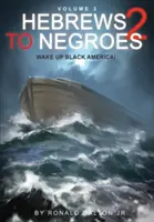 Hebrews to Negroes 2 Volumen 3: Despierta América Negra - Hebrews to Negroes 2 Volume 3: Wake Up Black America