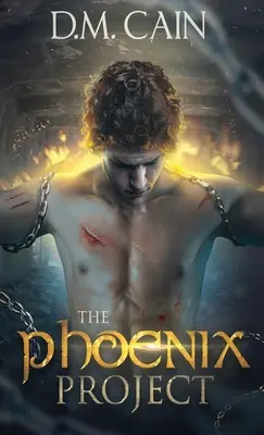 El Proyecto Fénix - The Phoenix Project