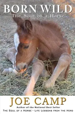 Born Wild - El alma de un caballo - Born Wild - The Soul of a Horse