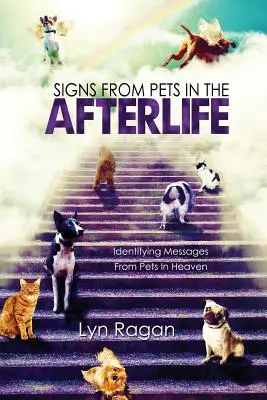 Señales De Mascotas En El Más Allá: Identificando Mensajes De Mascotas En El Cielo - Signs From Pets In The Afterlife: Identifying Messages From Pets In Heaven