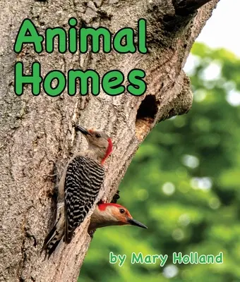 Hogares para animales - Animal Homes