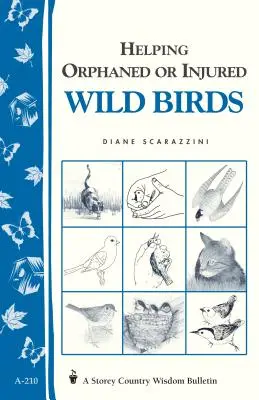 Ayudar a las aves silvestres huérfanas o heridas: Storey's Country Wisdom Boletín A-210 - Helping Orphaned or Injured Wild Birds: Storey's Country Wisdom Bulletin A-210