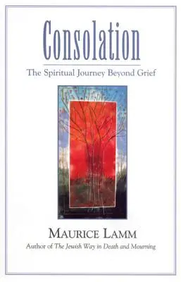 Consolación: El viaje espiritual más allá del dolor - Consolation: The Spiritual Journey Beyond Grief