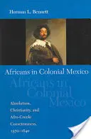 Los africanos en el México colonial: Absolutismo, cristianismo y conciencia afrocriolla, 1570-1640 - Africans in Colonial Mexico: Absolutism, Christianity, and Afro-Creole Consciousness, 1570-1640