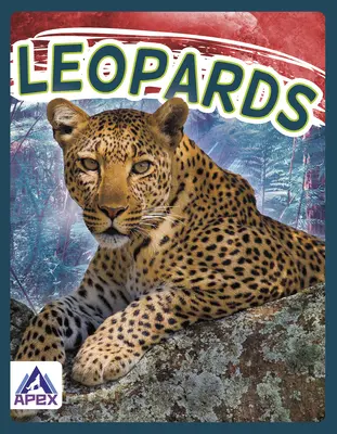 Leopardos - Leopards