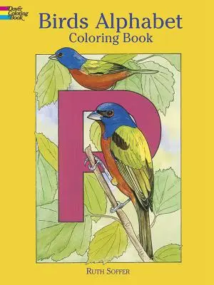 Libro para colorear del alfabeto de los pájaros - Birds Alphabet Coloring Book