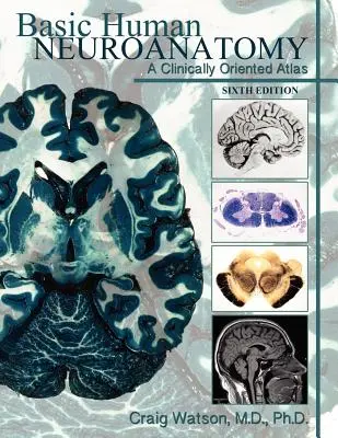 Neuroanatomía humana básica: Un Atlas Clínicamente Orientado - Basic Human Neuroanatomy: A Clinically Oriented Atlas