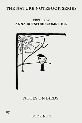 Notas sobre las aves 1 - Notes on Birds 1