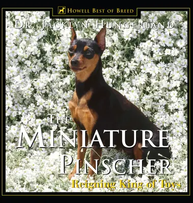 Pinscher miniatura: El rey de los juguetes - Miniature Pinscher: Reigning King of Toys