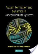 Formación de patrones y dinámica en sistemas en desequilibrio - Pattern Formation and Dynamics in Nonequilibrium Systems