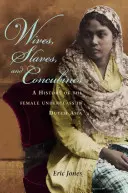 Esposas, esclavas y concubinas: Historia de la clase baja femenina en el Asia holandesa - Wives, Slaves, and Concubines: A History of the Female Underclass in Dutch Asia