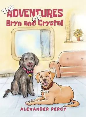 Las aventuras de Bryn y Crystal - The Adventures of Bryn and Crystal