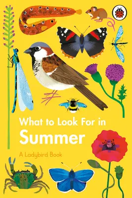 Qué buscar en verano - What to Look For in Summer