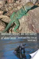 Anfibios, reptiles y sus hábitats en el Cañón del Sabino - Amphibians, Reptiles, and Their Habitats at Sabino Canyon