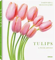 Tulipanes - Tulips