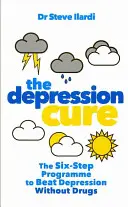 La cura de la depresión: el programa de seis pasos para vencer la depresión sin fármacos - Depression Cure - The Six-Step Programme to Beat Depression Without Drugs