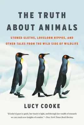 La verdad sobre los animales: Perezosos drogados, hipopótamos enamorados y otras historias del lado salvaje de la vida salvaje - The Truth about Animals: Stoned Sloths, Lovelorn Hippos, and Other Tales from the Wild Side of Wildlife