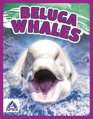 Belugas - Beluga Whales