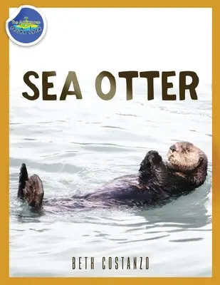 Nutria marina 2-4 años - Sea Otter ages 2-4